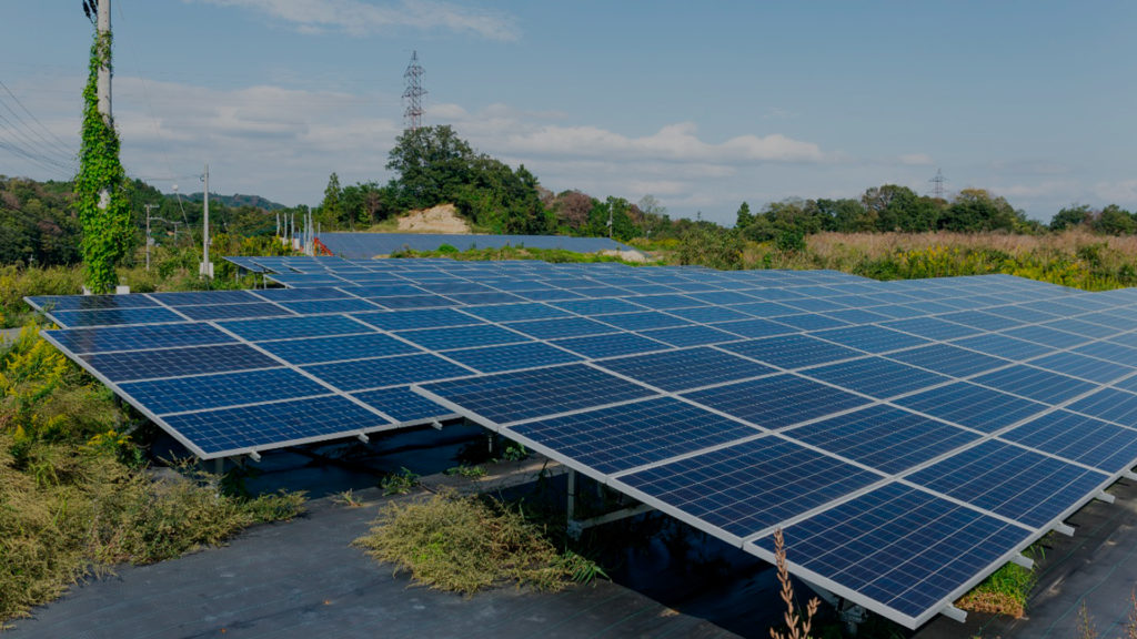 Energia solar pode aliviar a Bandeira Vermelha na conta de luz dos brasileiros